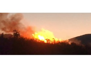 Kepsut’ta 10 hektar bozuk meşelik alan yandı