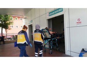 Ava giden vatandaşı arılar hastanelik etti