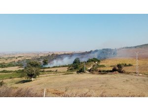 Tekirdağ’da orman yangını: Yüzlerce dönüm alan kül oldu