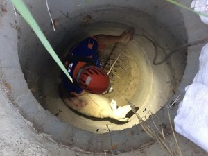 Rögar kuyusuna düşen koyunu AFAD kurtardı