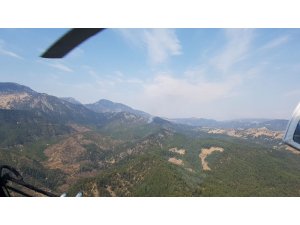 Yıldırım düşen ormanlık alanda yangın çıktı