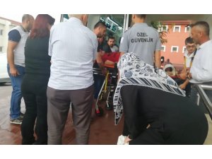 Ceviz toplarken ağaçtan düşen yaşlı adam ağır yaralandı