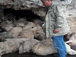 Yıldırım düşmesi sonucu 60 küçükbaş hayvan telef oldu