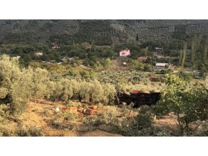 100 tonluk vinç zeytinliğe yuvarlandı