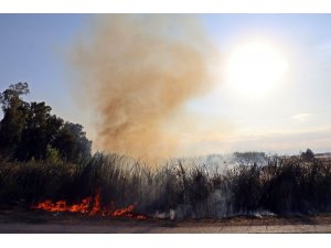 Antalya’da seraları tehdit eden sazlık yangını korkuttu
