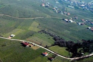2-B taslağında illere göre arazi dağılımı