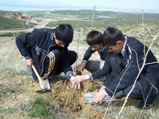 Başhüyük Göleti çevresine 3 bin 600 fidan dikildi