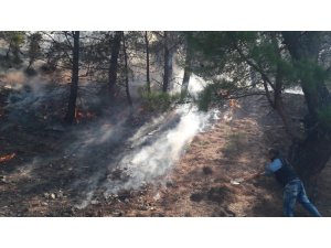 Buldan’da 2,5 hektarlık ormanlık alan yandı