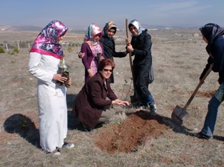 Selçuklu İHL fidan dikti