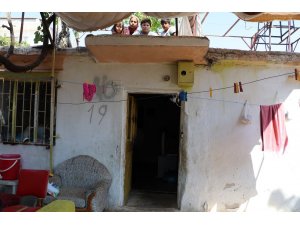 ’Evde yılan var’ korkusuyla 45 gündür damda uyuyorlar