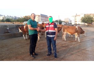 Jandarma ekipleri besicinin 20 yıllık birikimini kurtardı