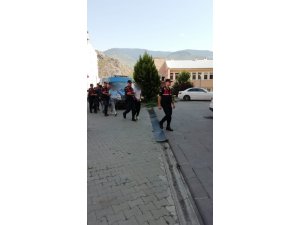 Araç aküsü çalan suç çetesi yakalandı