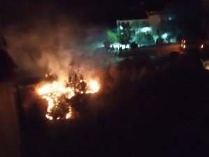 Ot yangını ormana sıçramadan söndürüldü