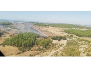 Arap Beleni’nde çıkan yangın, ormana ulaşmadan söndürüldü