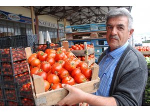Tokat’ta domates 20 kuruşa düştü