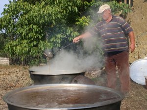 Konya'da bağ bozumu
