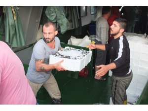 Rüzgar durdu, balık bollaştı