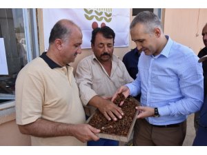 Kuru üzüm alımlarına yerinde inceleme