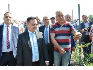 Simav’da ’Goji Berry’ projesi