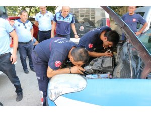 Zabıta aracındaki yavru kedi için itfaiye seferber oldu