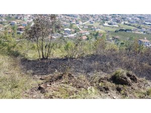 Fındıklık yangını anında müdahale ile söndürüldü