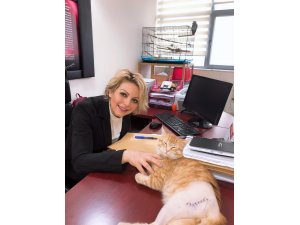 Makamında sokak hayvanı besleyen kişiye "aylıktan kesme" cezası verilmesi