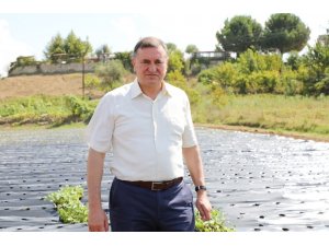 Hatay Büyükşehir Belesiyesinden çiftçilere fide desteği