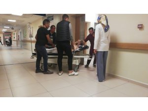 Ceviz toplarken düşen adam ölümden döndü