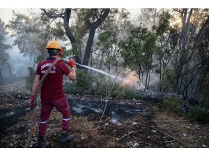Antalya'da orman yangını