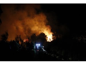 Hatay'da orman yangını