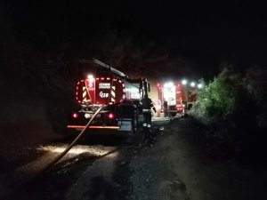 Beykoz da korkutan orman yangını