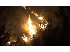 Hatay’da 25 farklı noktadaki orman yangınlarından 24’ü söndürüldü