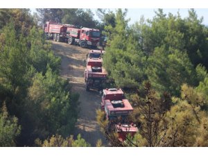 Hatay’da 25 noktada çıkan yangında soğutma çalışmaları sürüyor