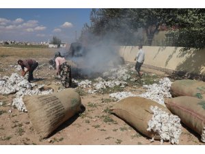 Şanlıurfa’da tonlarca pamuk alev alev yandı