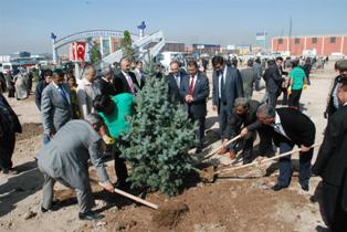 Karatay'da 3 bin fidan toprakla buluştu