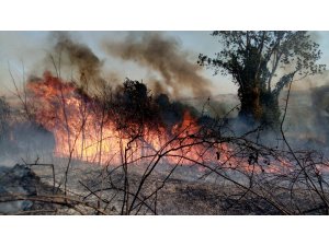 Tekirdağ’da orman yangını: Helikopter, arazöz ve itfaiyeler müdahale ediyor