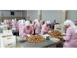 Nazilli Ticaret Borsası’ndan Cumhurbaşkanı Erdoğan’a incir teşekkürü