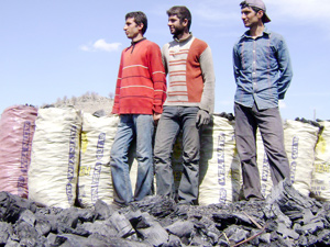 Göçebe yaşam tarzını devam ettiriyorlar