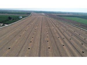 Tarımsal atıklardan elektrik üretimi anız yangınlarını bitirecek