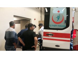 Kestiği ağacın altında kalarak öldü