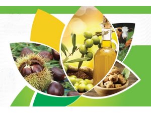 Aydınlı çiftçiye 55 milyonluk organik ve iyi tarım desteği