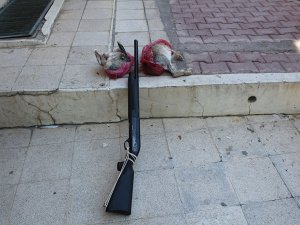 Yunak'ta kaçak avcı yakalandı