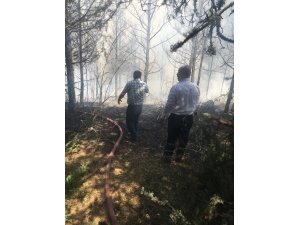 Kızılcahamam Üyücek yaylasında yangın