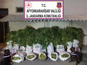 Afyonkarahisar’da uyuşturucu operasyonu