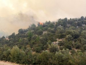 Bilecik’te orman yangını