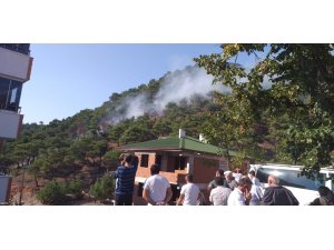 Tokat’ta, orman yangını büyümeden söndürüldü