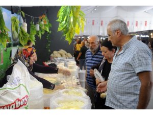 Kastamonu Tanıtım Günleri İstanbul’da başladı