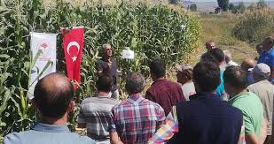 Ortakaraören'de "Tarla Günü" etkinliği