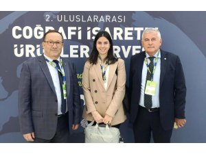 Aydın Kestanesi zirvede