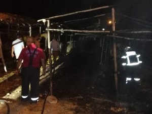 Bir yıllık emekleri küle döndü